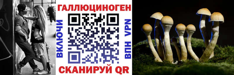 где купить наркоту  Гагарин  Псилоцибиновые грибы Psilocybe 